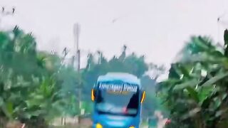 বাস এনটি