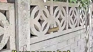 Too Hot to Roam- Street Cats Found a Shady Oasis