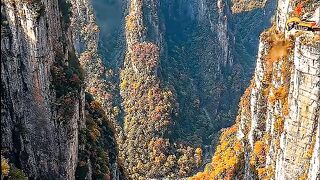 blox 108  Extreme Bridge Over the Canyon