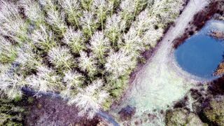 Winter Coat - id | Trending HD Video 53