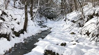 Winterhalter - id | Trending HD Video 56