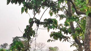 গ্রামের সুন্দর পরিবেশ 3