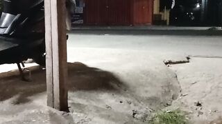 Selamat malam 16
