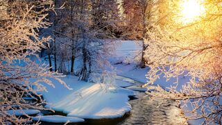 I Love Wallpaper - id | Trending HD Video 4