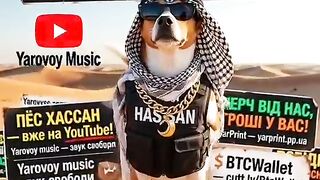Прем’єра нового музичного відеокліпу на Yarovoy Music — «Пес ХАССАН
