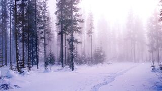 Wallpaper - id | Trending HD Video