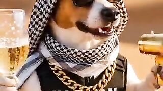 الموسيقي الجديد على Yarovoy Music — «الكلب حسن