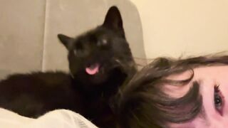 Munchkin that is not noodle, it is your hooman's hair