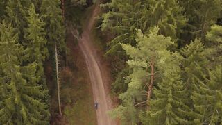 WallPics - 4K Wallpapers - aerial view of a serene forest pathway | Trending HD Video
