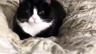 he looks very polite