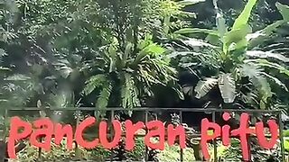 Pancuran pitu Baturaden  #banyumas #jawatengah