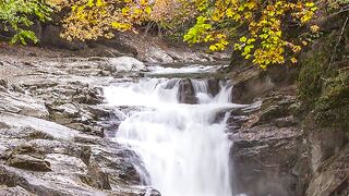 ✅Chuva na floresta paradisíaca Yoga zen relaxamento música positiva para dormir- Paz profunda- Fragmentos #87