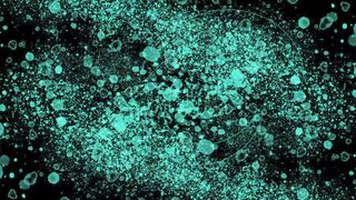 Moving Backgrounds 4k - WALLPS - id | Trending HD Video 3
