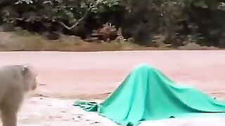 Funny Videos Part 68