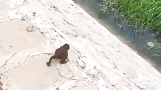 Funny Videos Part 69