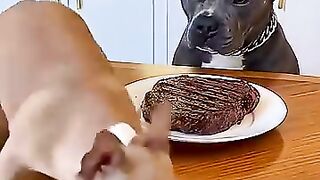 Funny Videos Part 71
