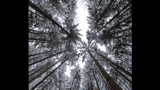 Winterhalter - id | Trending HD Video 58