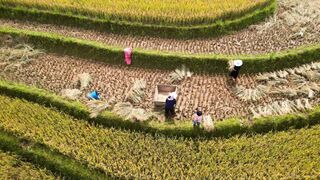 travelite - id | Trending HD Video 178