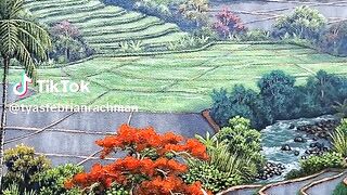 The scenery nature
