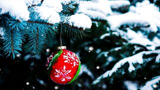 Wallpaper hanging - id | Trending HD Video 12