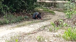 Penampakan orang utan #viral