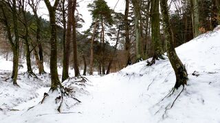 Snow boot - snow covered forest | Trending HD Video 2