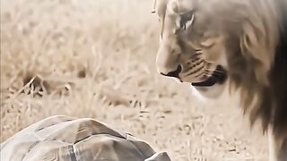 Secrets of Divine Love A Spiritual Journey Into the Heart of Islam - id | Trending HD Video 17