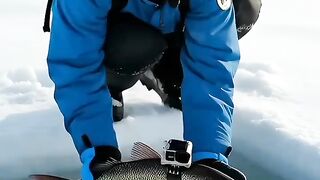 A Fish's Hidden Journey to Quran Under the Ice