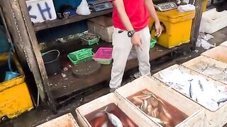 Cooking 78