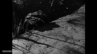 Creature from the Black Lagoon (3/10) Movie CLIP - The Creature Attacks (1954) HD 2