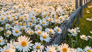 Nature 294