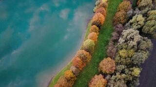 Wallpaper removal - aerial view of vibrant autumn trees by lake | Trending HD Video