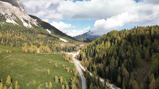 Silly Smile Live Wallpaper 4K - aerial view of dolomite autumn forest | Trending HD Video