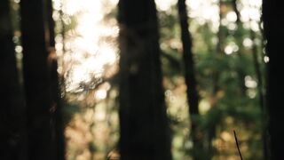 Silly Smile Live Wallpaper 4K - id | Trending HD Video 14