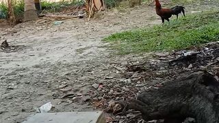Suasana 4