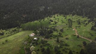 Silly Smile Live Wallpaper 4K - aerial view of tranquil countryside retreat | Trending HD Video