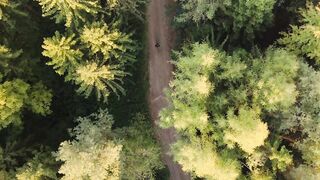 I Love Wallpaper - aerial view of serene forest pathway | Trending HD Video 2