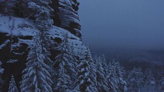 Winterhalter - id | Trending HD Video 61