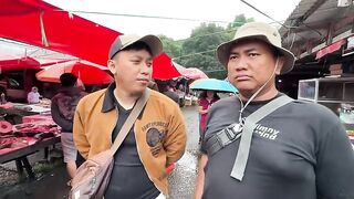 OVERLAND SULAWESI EPS 8 TO POINT 0 SULAWESI