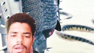 সাপের আক্রমণ থেকে বাঁচার উপায় দেখুন ????