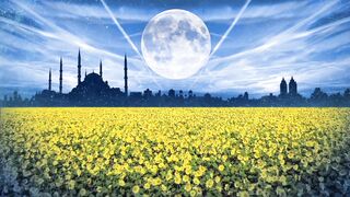 Secrets of Divine Love A Spiritual Journey Into the Heart of Islam - id | Trending HD Video 29