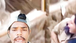 বিষধর সাপের আক্রম