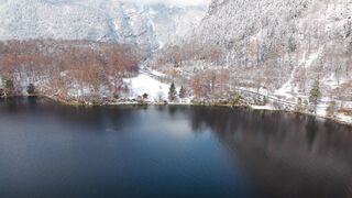 Winter solstice - serene winter landscape with snowy forest | Trending HD Video