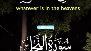 Quran paak Tilawat | must watch 2