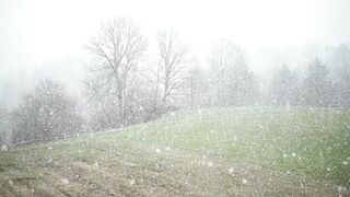 Winter Coat - id | Trending HD Video 57