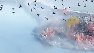 The scenery of nature