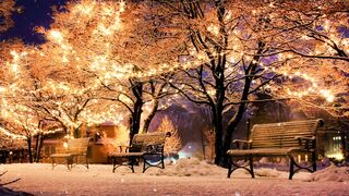 Winterhalter - id | Trending HD Video 62