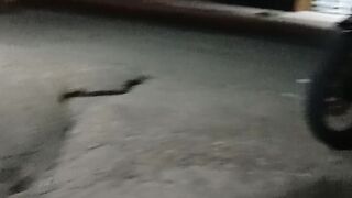 Jalan 12