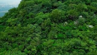 Travel - id | Trending HD Video