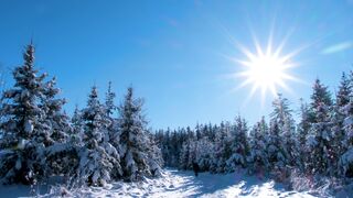 The Shy Snow Woman and the Cursed Ring - id | Trending HD Video 104